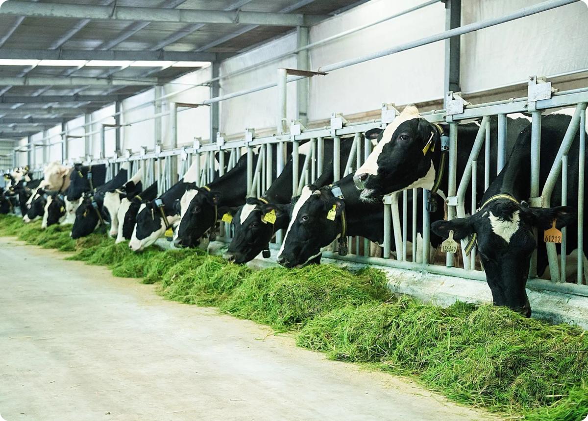 value_farm_banner